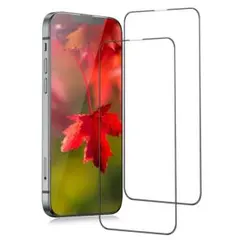 iPhone13 pro max ガラスフィルム 【2枚セット】