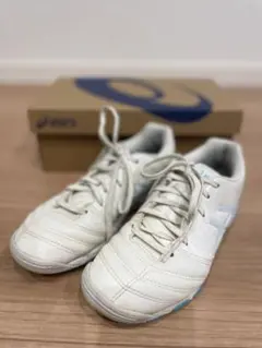 アシックス DS LIGHT ジュニア トレーニングシューズ 21cm