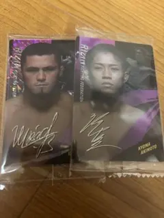 Item thumbnail for item 3a79a5ff-e39a-41c6-828a-e714a55501c4