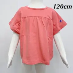 新品17178 チャンピオン 120cmピンクタックフリル半袖Tシャツ綿100%