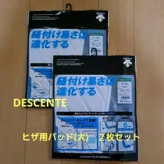 DESCENTE　 野球ヒザ用パッド 大 ホワイト２枚セット