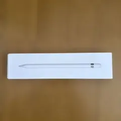 Apple Pencil (第1世代)