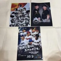 巨人　ジャイアンツ　クリアファイル　3枚セット サカチョー