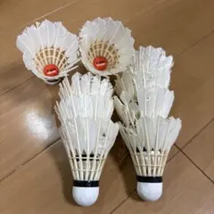 Item thumbnail for item 60bb0b79-eb45-45ea-8a33-97804a572328