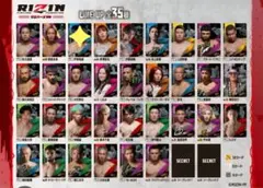 ︎✦︎ RIZINウエハース 芦澤竜誠 選手︎✦︎