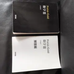 Focus Gold 数学III