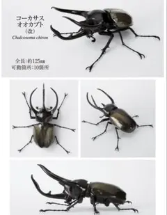 いきもの大図鑑　かぶとむし10樹皮台座(小)セット　コーカサスオオカブト(改)