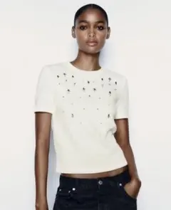 ZARA ソフトラインストーンセーター