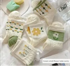 Item thumbnail for item 02ffaac1-9ce6-41e3-b7c6-e028c87d90da