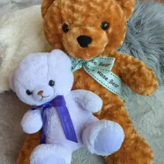 ぬいぐるみ　くま2体