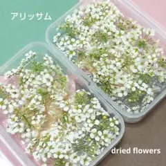 hitomi ❁様 リクエスト 2点 まとめ商品