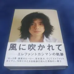 エレファントカシマシ アート