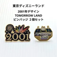 トゥモローランド ピンバッジ 2種セット - メルカリ