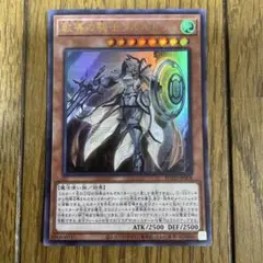 遊戯王　教導の騎士　ウルトラ
