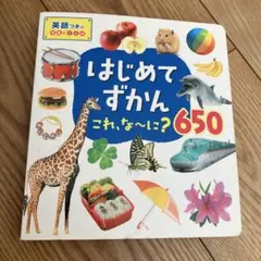 はじめてずかん 650