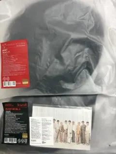 SEVENTEEN WORLDTOUR BE THE SUN バケハ