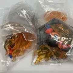 ポケモン ジオラマコレクト ほのお＆こおり カルボウ 2体セット