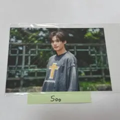 evnne タレントカード