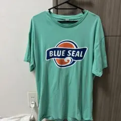 BLUE SEAL Tシャツ ミントグリーン　　［L］