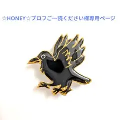 ☆HONEY☆プロフご一読ください様専用ページ