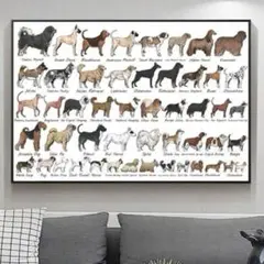 犬図鑑　アートポスター　インテリア　リビング　玄関　トイレ
