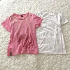 DANSKIN 他 スポーツウェア Tシャツ 2枚 おまとめ Lサイズ
