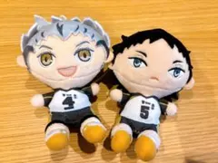 ハイキュー!! ぬいぐるみ マスコット 梟谷 木兎光太郎 & 赤葦京治