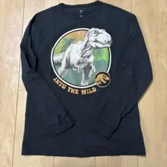 Item thumbnail for item 981f7271-8345-4c12-94f6-0b4396b38917