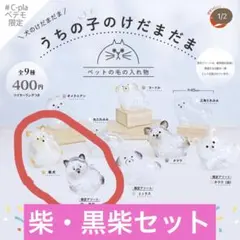 正規品　うちの子のけだまだま　犬　柴犬・黒柴セット　ペテモ