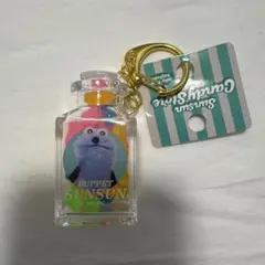 パペットスンスン Candy Store ゼリービーンズキーホルダー