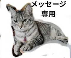 どなたでもメッセージ下さい(⁠◍⁠•⁠ᴗ⁠•⁠◍⁠)