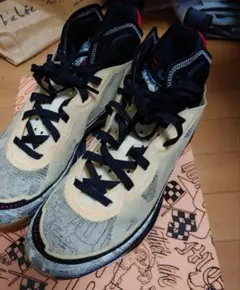 Air Jordan XXXVII Jayson tatum PF26.5美品