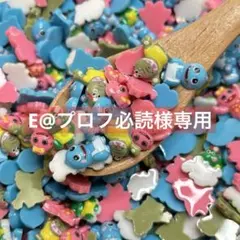 E@プロフ必読様専用