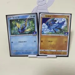 ポケモンカード　キバニア、リオル　ジムプロモカード