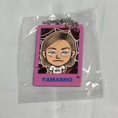 山本彰吾 プラスパ巡らせる糸 コードホルダー