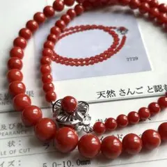 k14✨血赤珊瑚 5.0-10.0㎜ グラデーションネックレス 鑑別書 染めなしのサムネイル