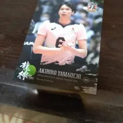 ポルノグラフィティチップス2019 岡野昭仁042 - メルカリ