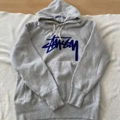 メルカリ1点物stussy champion reverse weaveパーカー