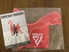 千葉ジェッツ バスケットボール