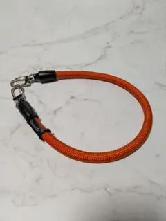 YOSEMITE 2WAY SHORT STRAP　オレンジ　美品