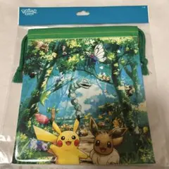 【新品未使用】ポケパークカントー　巾着　ピカチュウ　イーブイ