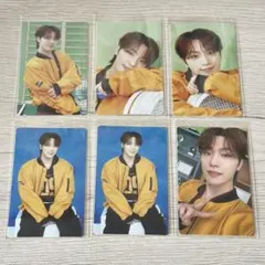 ディノ CARAT LAND トレカ