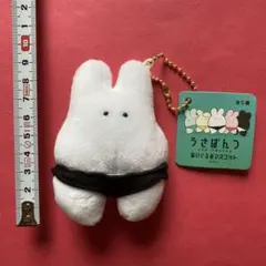 うさぱんつ　ぬいぐるみ　マスコット　くろぱんつ　うさぎ