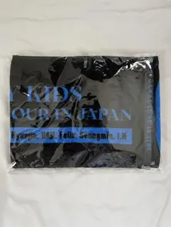 2026年最新】Maniac タオル straykidsの人気アイテム - メルカリ