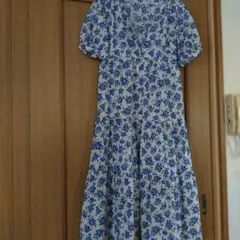 Item thumbnail for item 14f2c6ae-e5a9-4c27-a7ba-c3677813ea26