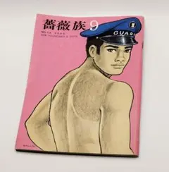 薔薇族 1973年9月号 NO.13 ゲイ雑誌 第二書房 伊藤文學のサムネイル
