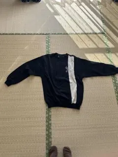 サンタフェ　05 Lサイズくらいです。