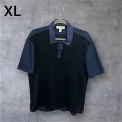 BURBERRY バーバリー ポロシャツ ビンテージ　ヴィンテージ レア 春 夏