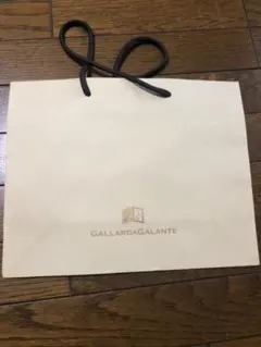 【期間限定価格！！】GALLARDAGALANTE ショップ袋のサムネイル