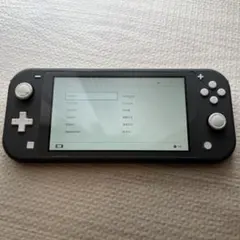 Nintendo Switch Lite グレー 本体のみ ジャンク 難あり